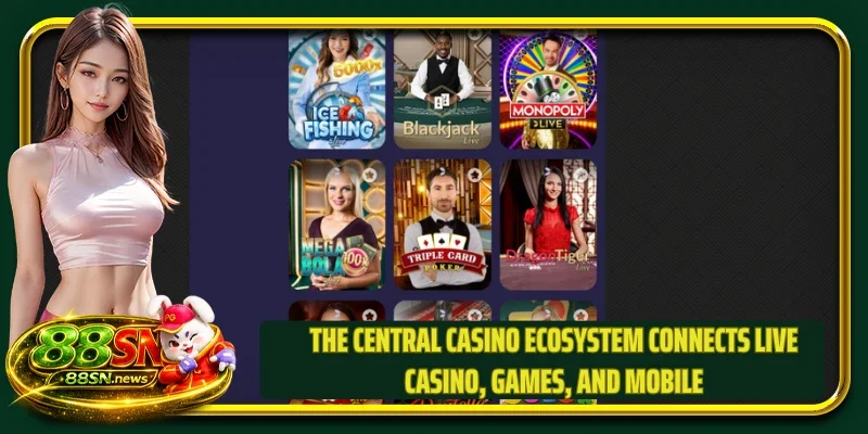 The central casino ecosystem connects live casino, games, and mobile